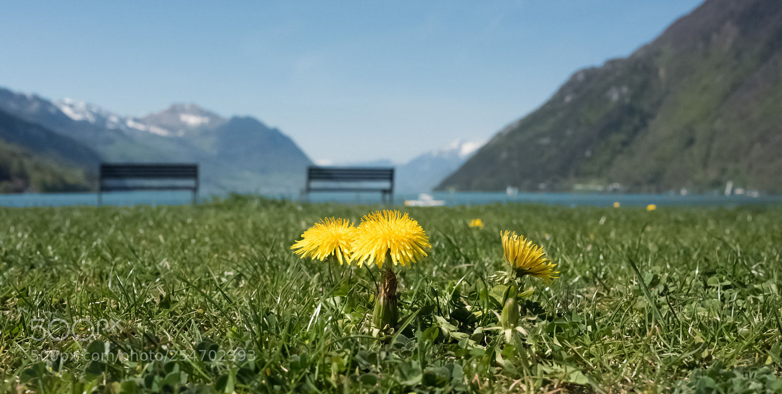 Nikon D810 sample photo. Spring colours photography