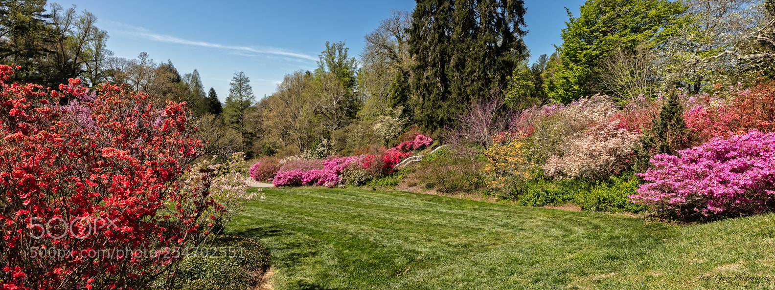 Canon EOS 5DS sample photo. Spring biltmore house and photography