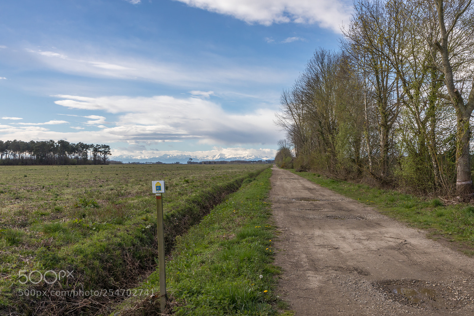 Canon EOS 5D Mark IV sample photo. The endless road towards photography