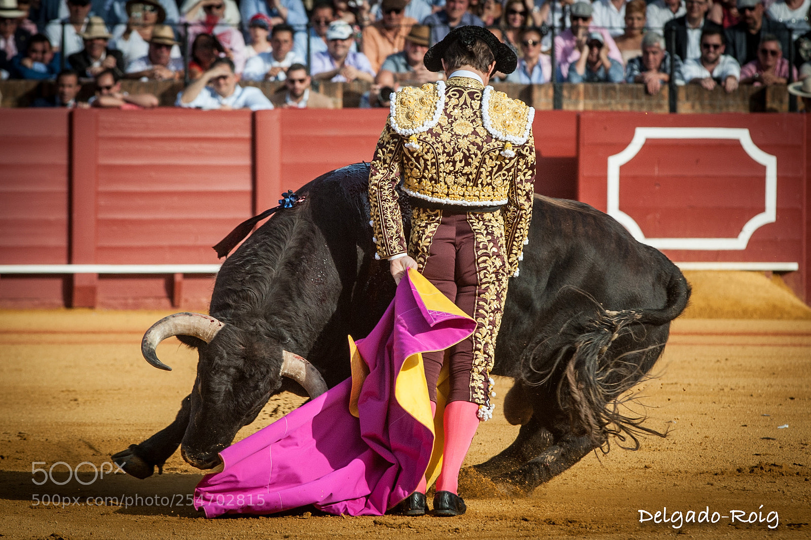 Nikon D700 sample photo. El juli. torero. photography