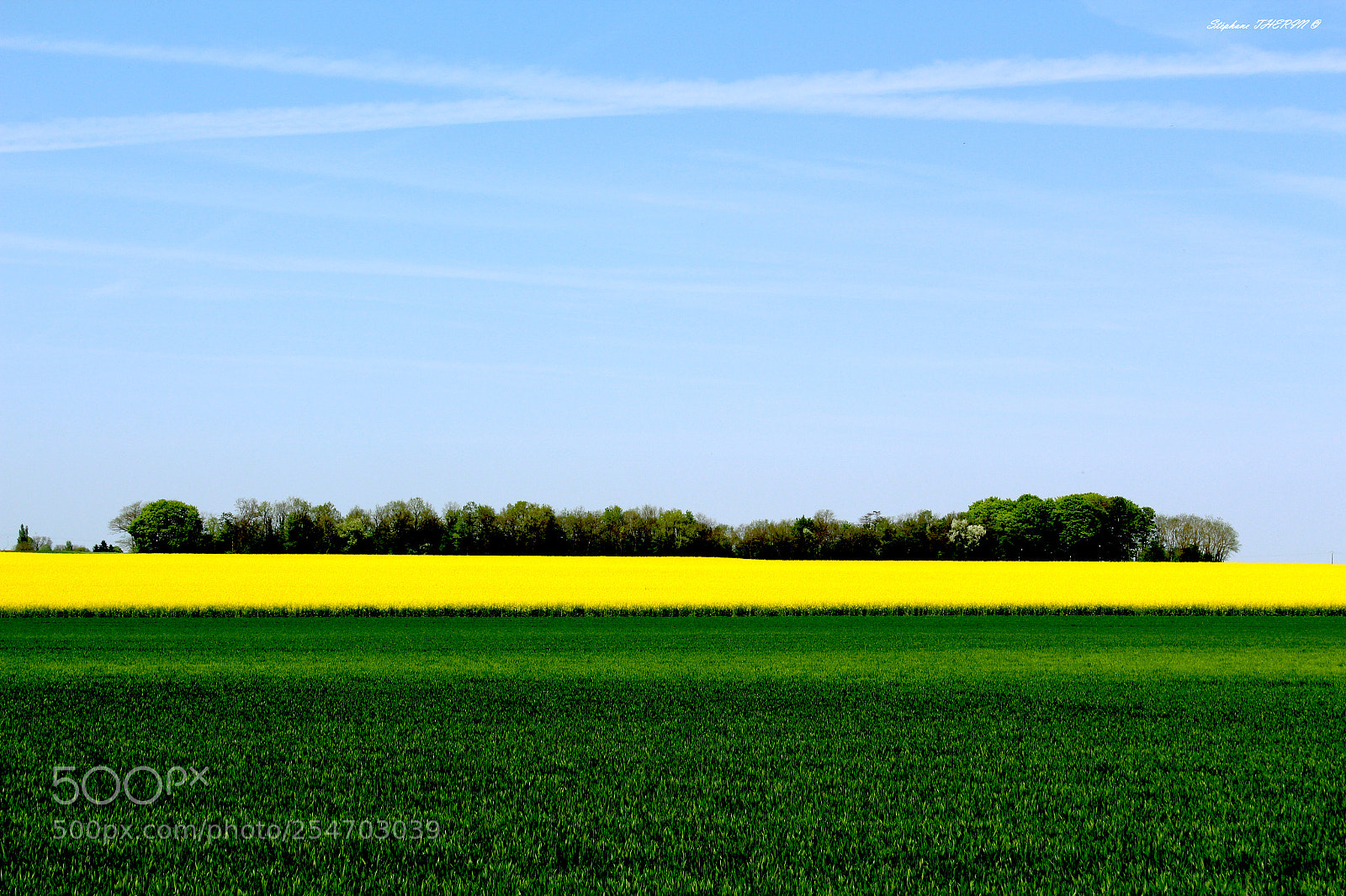 Canon EOS 650D (EOS Rebel T4i / EOS Kiss X6i) sample photo. Field photography