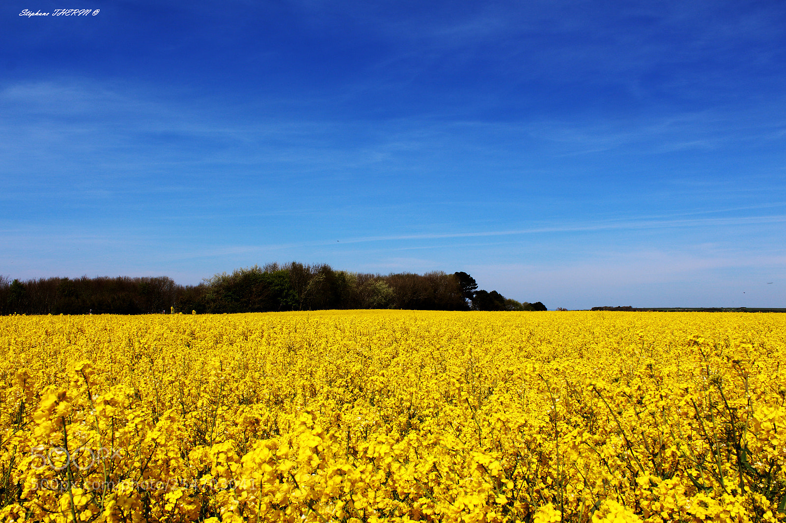 Canon EOS 650D (EOS Rebel T4i / EOS Kiss X6i) sample photo. Field photography