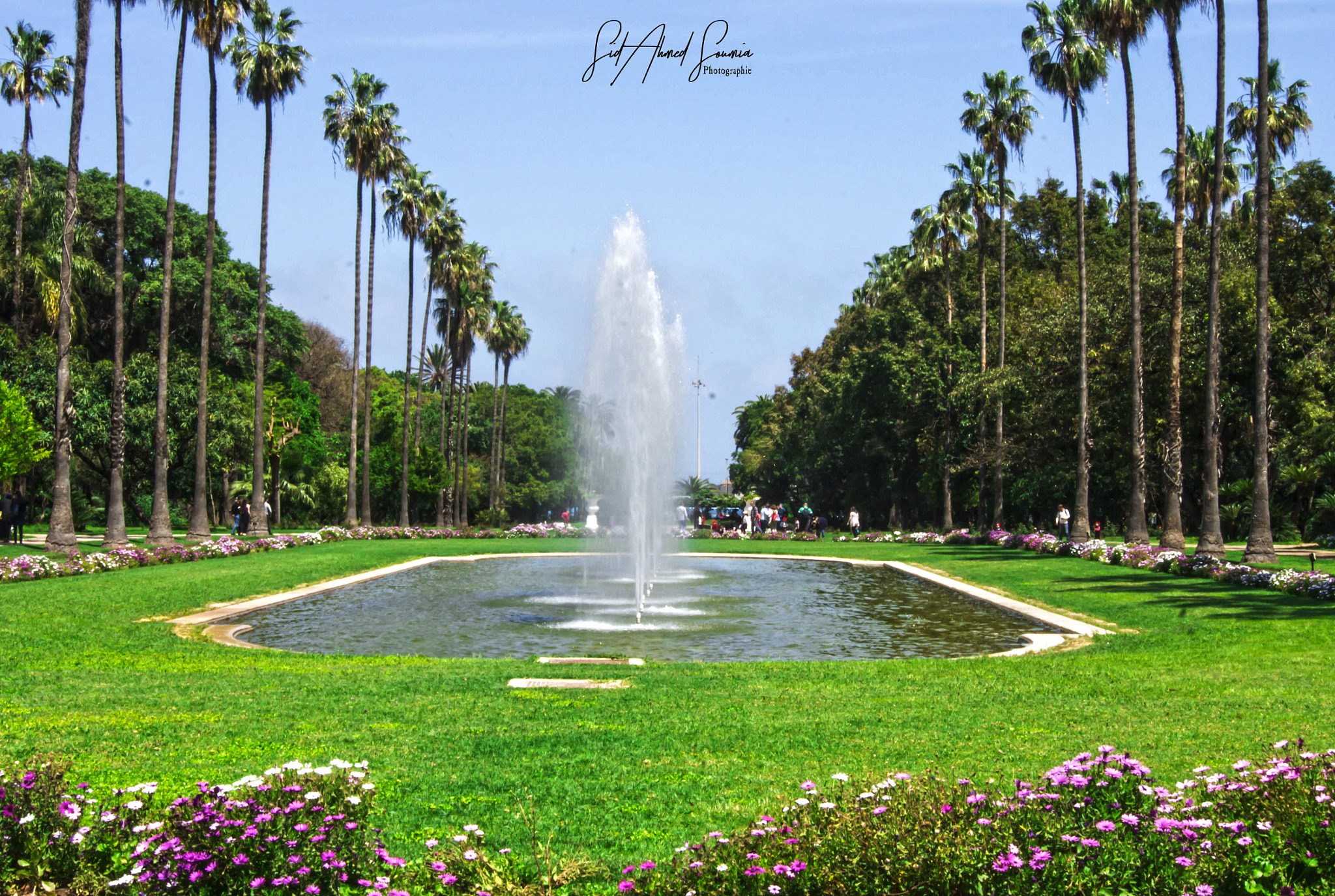 Sony Alpha DSLR-A450 sample photo. The test garden of hamma, algiers photography