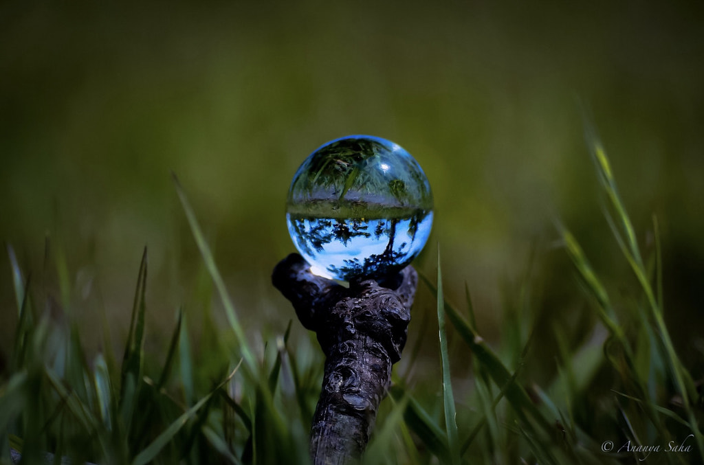 Nature Refracted In Crystal Ball by Ananya Saha on 500px.com