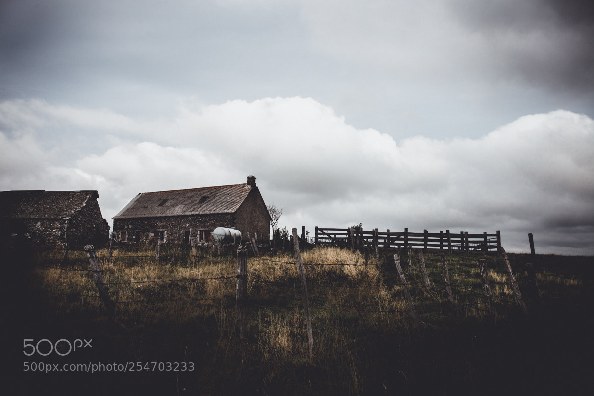 Canon EOS 5D Mark II sample photo. Aubrac 1a photography