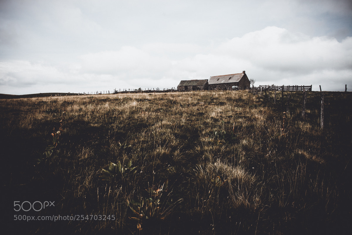Canon EOS 5D Mark II sample photo. Aubrac 1b photography