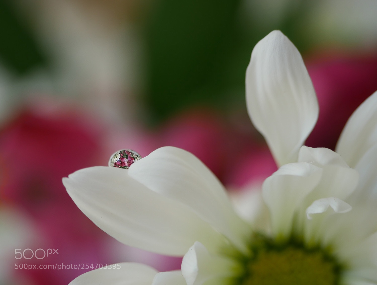 Panasonic Lumix DMC-G7 sample photo. One drop photography
