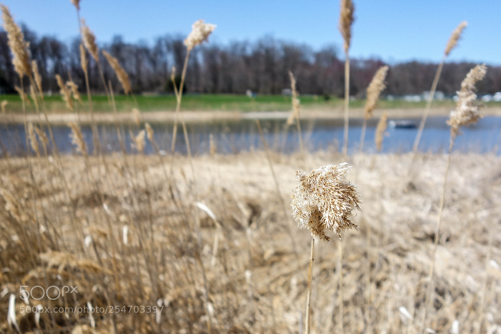 Sony Cyber-shot DSC-RX100 sample photo. Crestwood lake photography