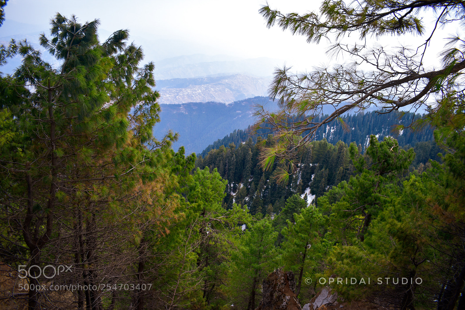 Nikon D5600 sample photo. The mountains photography