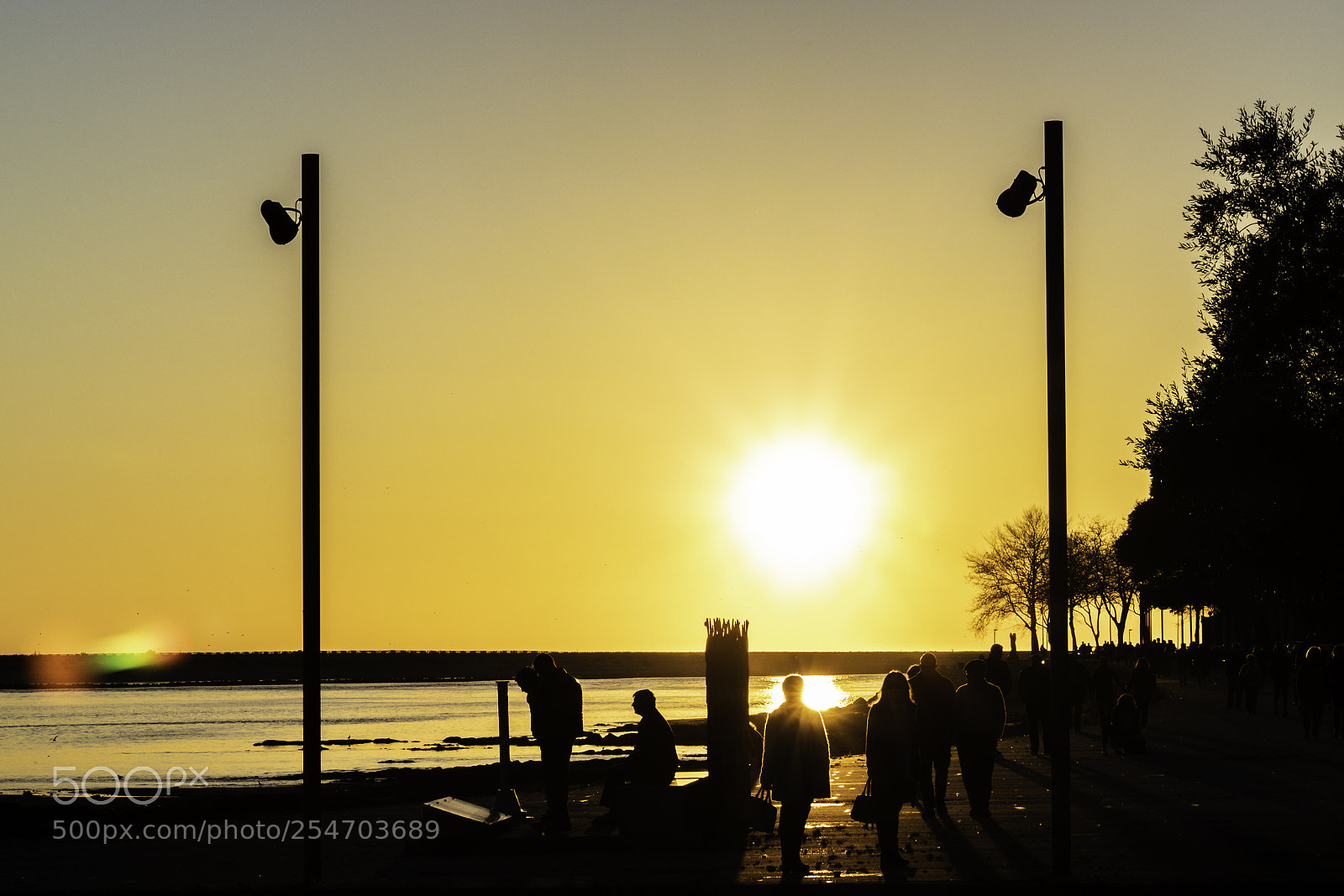 Canon EOS 80D sample photo. Splendor of the sun photography