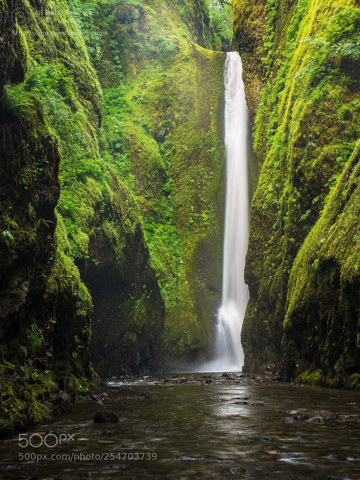 Olympus OM-D E-M1 sample photo. Oneonta falls 4 photography