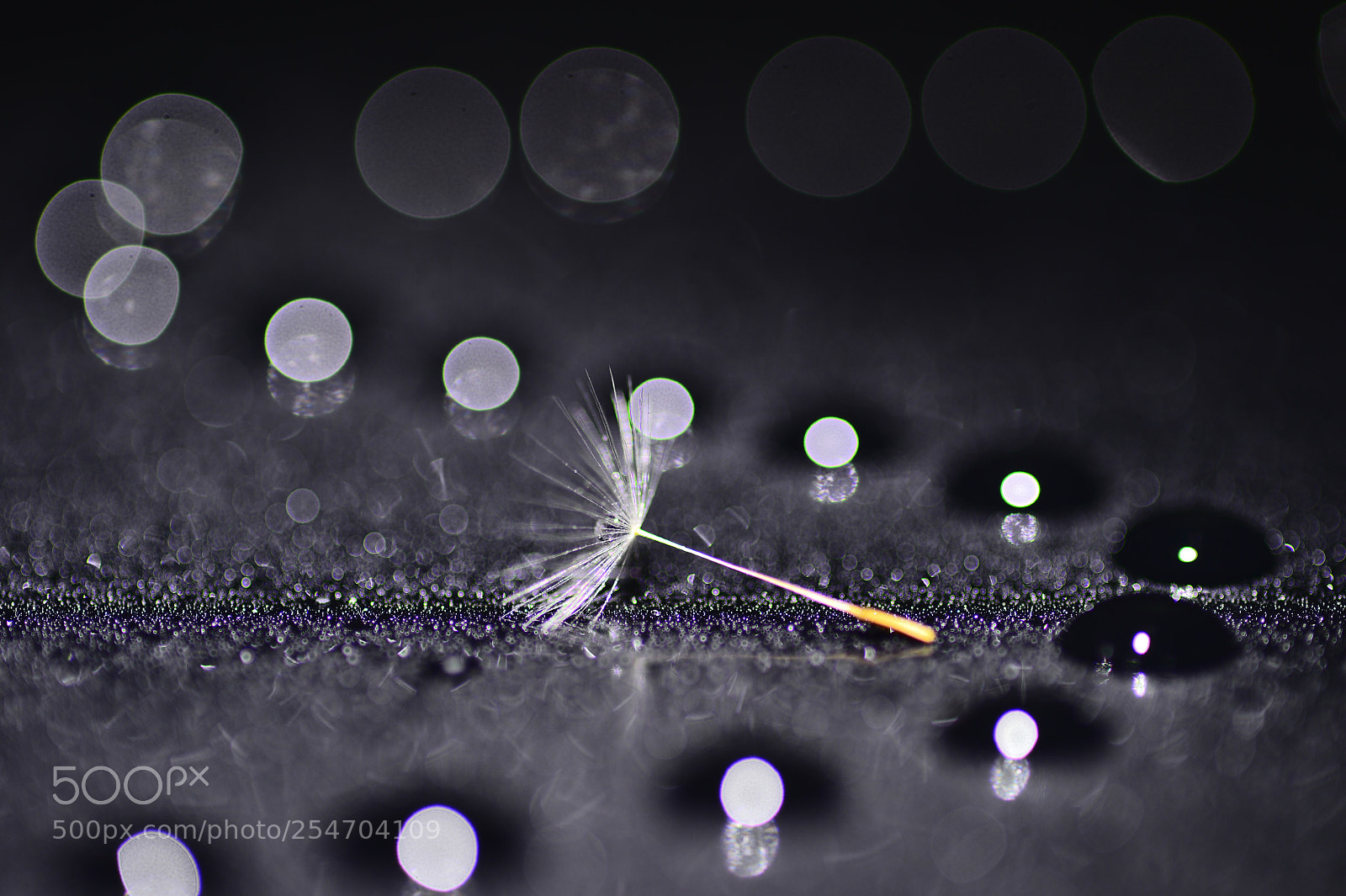 Nikon Df sample photo. Drops photography