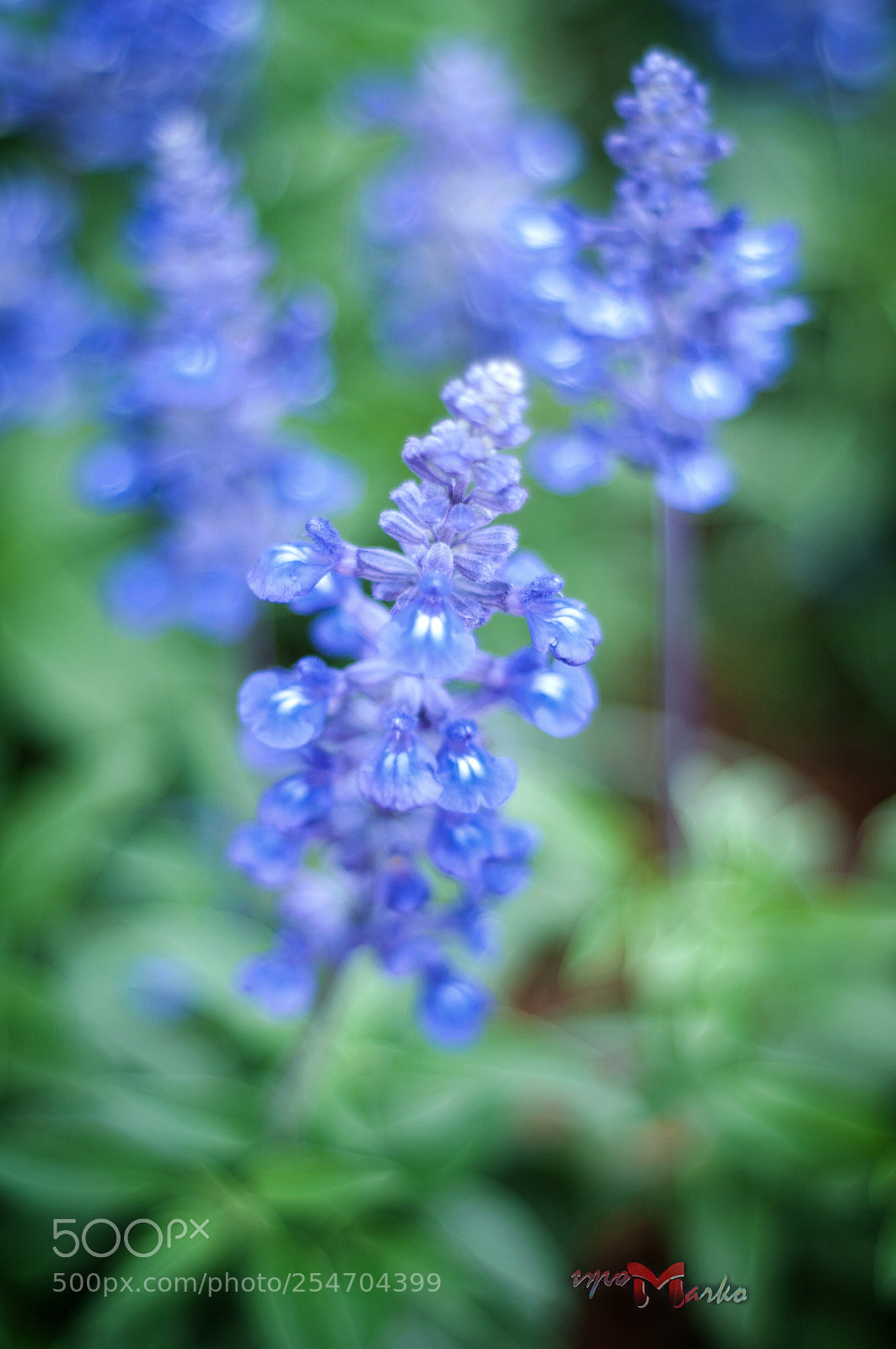 Nikon D90 sample photo. Untitled photography