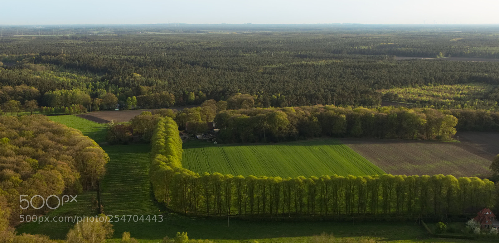 Canon EOS 750D (EOS Rebel T6i / EOS Kiss X8i) sample photo. Treeline photography