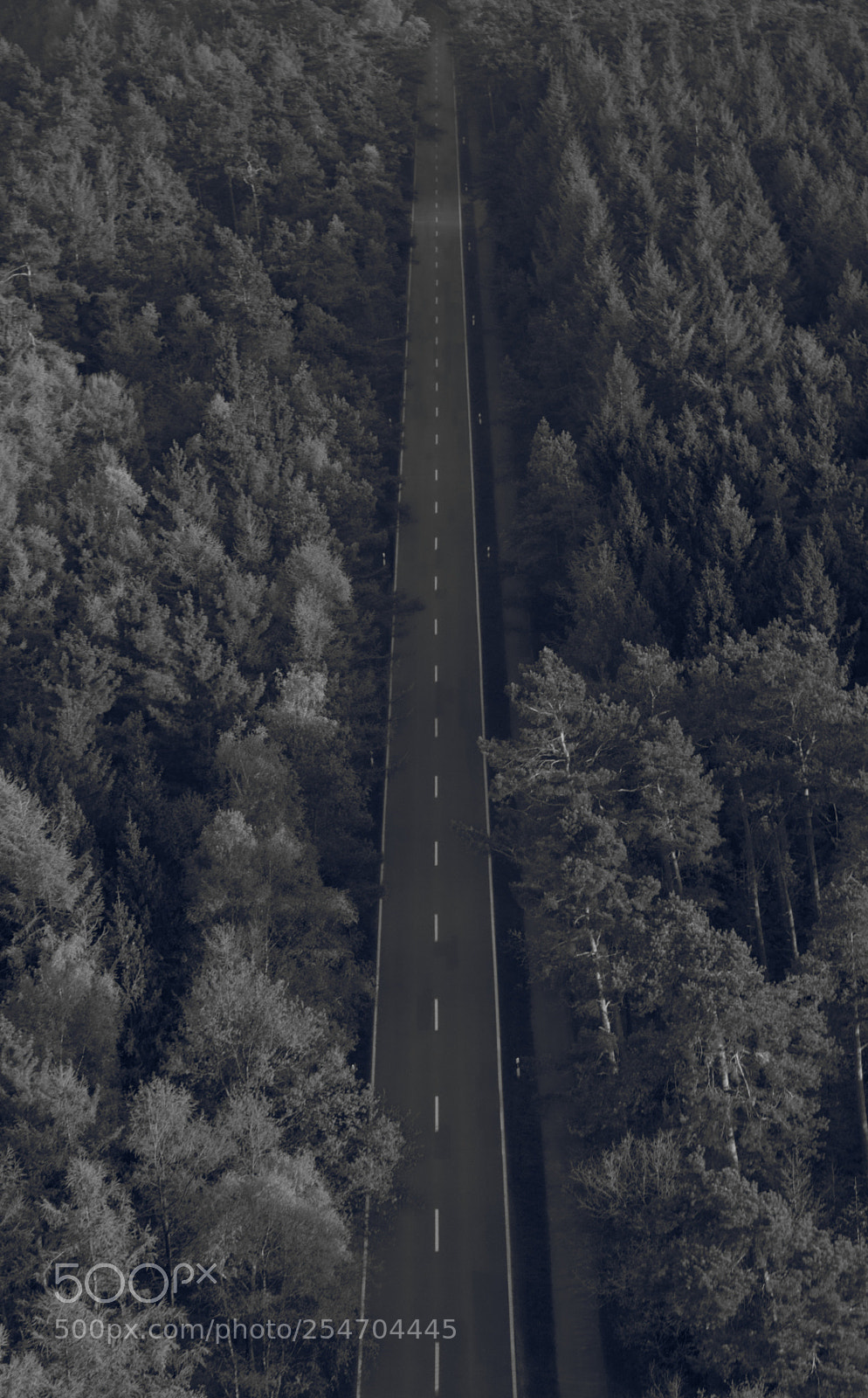 Canon EOS 750D (EOS Rebel T6i / EOS Kiss X8i) sample photo. Street into the distance photography