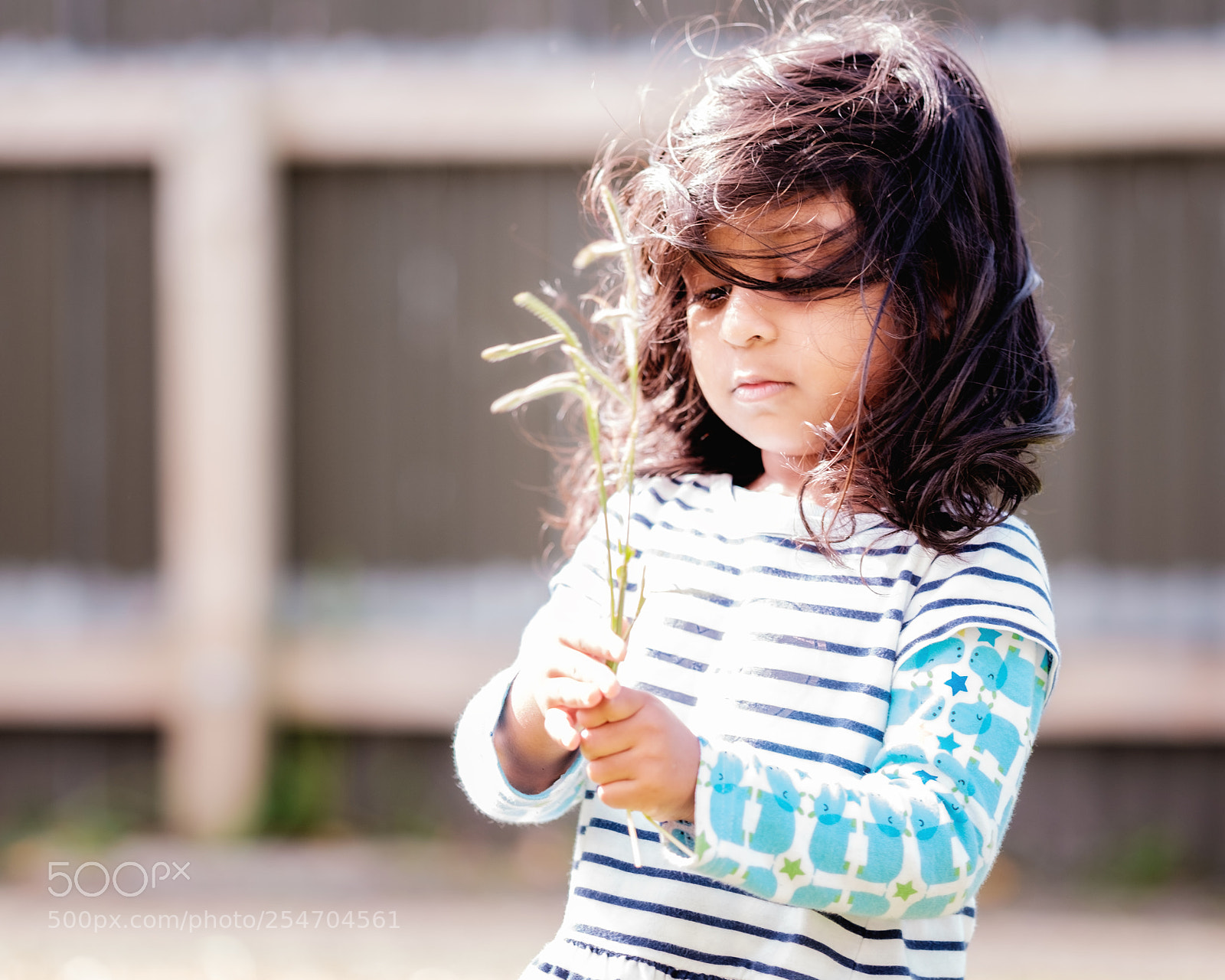 Fujifilm X-T1 sample photo. Windy day photography
