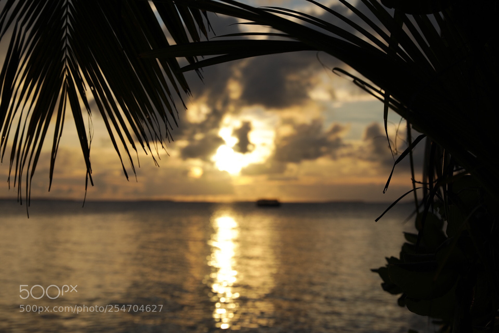 Canon EOS 5D Mark IV sample photo. Untitled photography