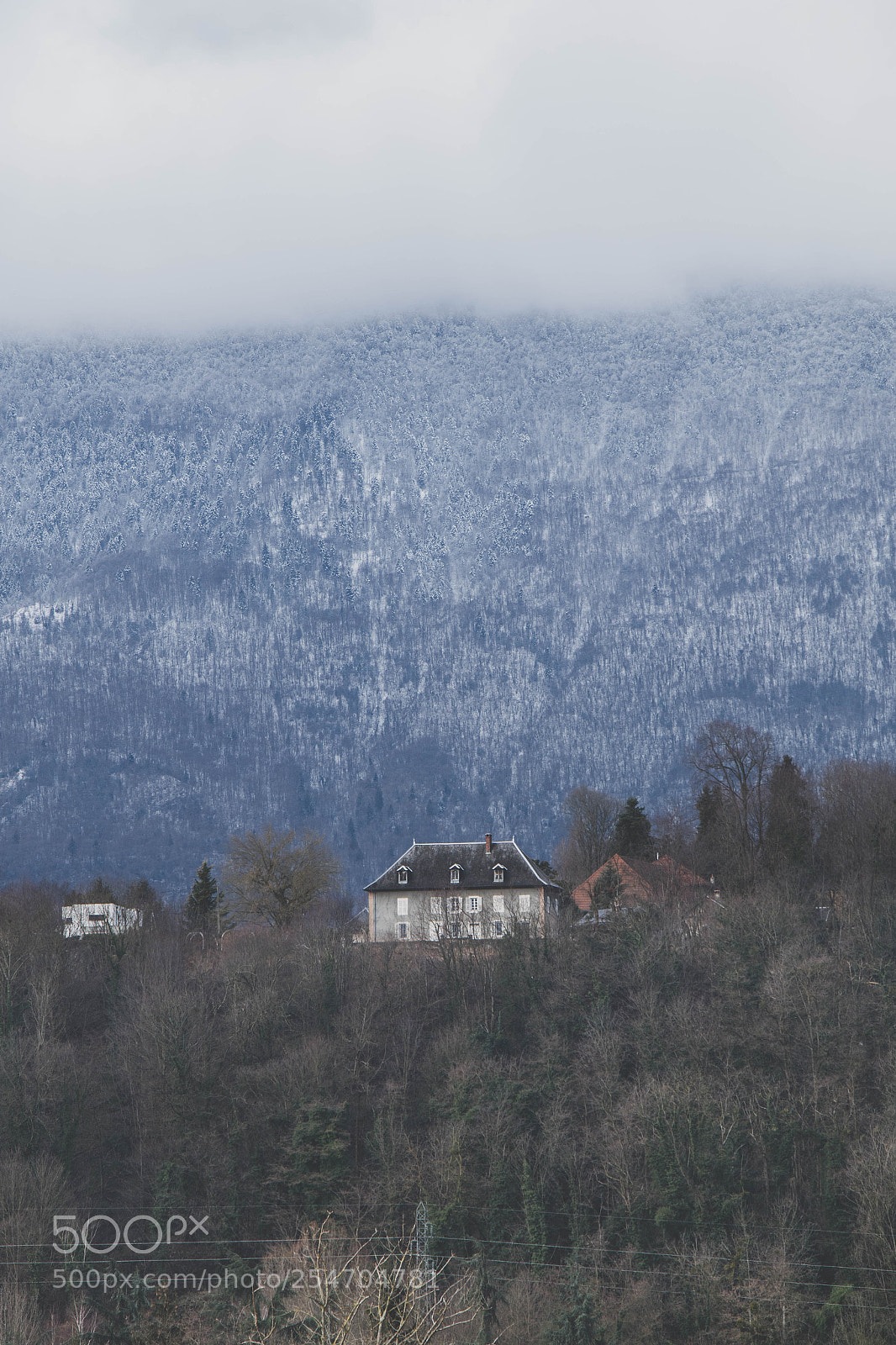 Canon EOS 7D Mark II sample photo. Forest escape with mountain photography