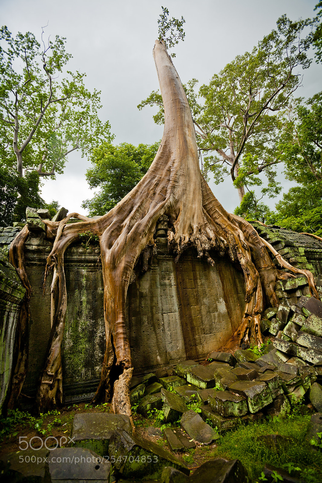 Canon EOS 5D sample photo. Angkor temples - siem photography