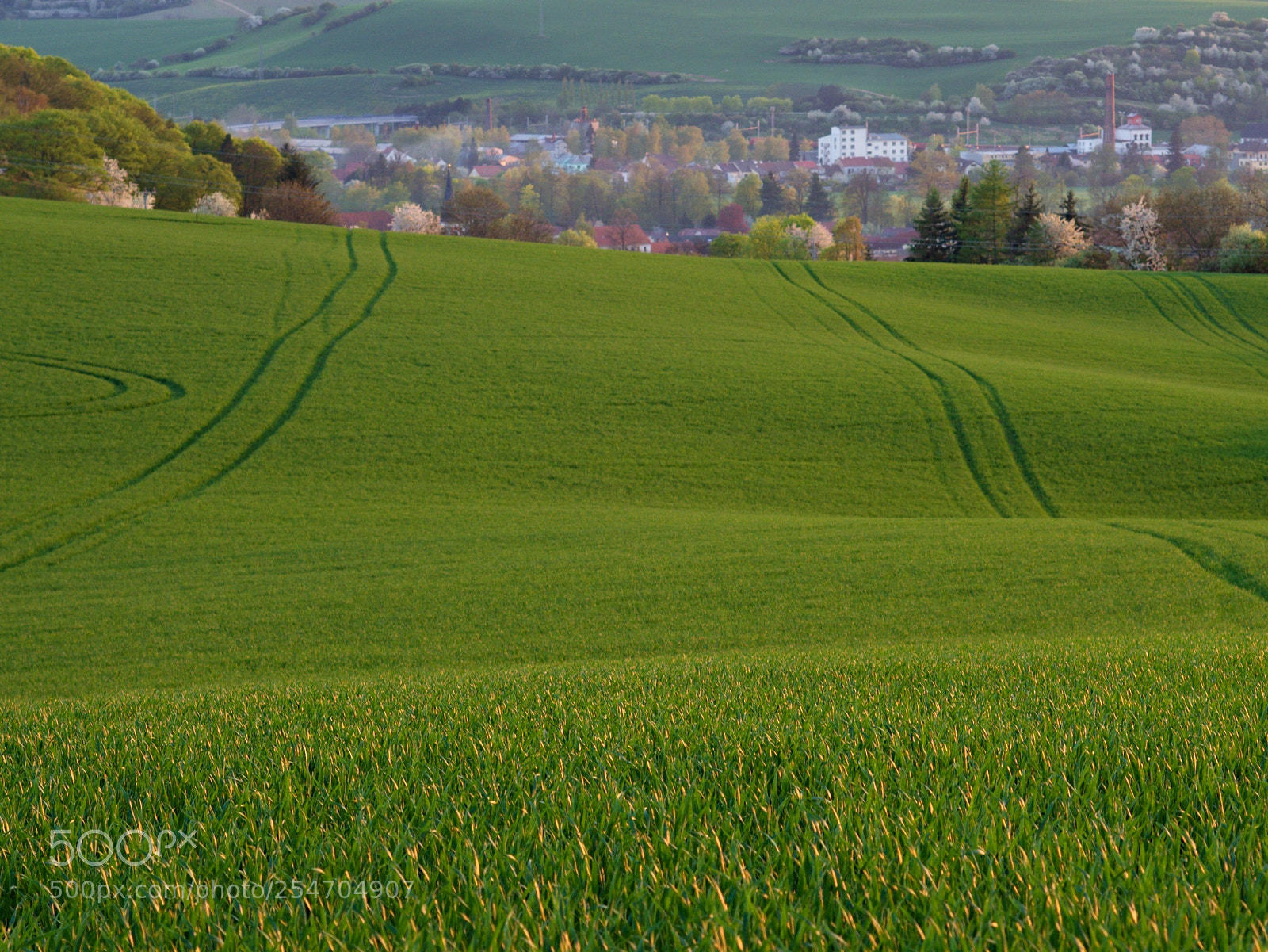 Olympus OM-D E-M1 Mark II sample photo. Before sunset photography