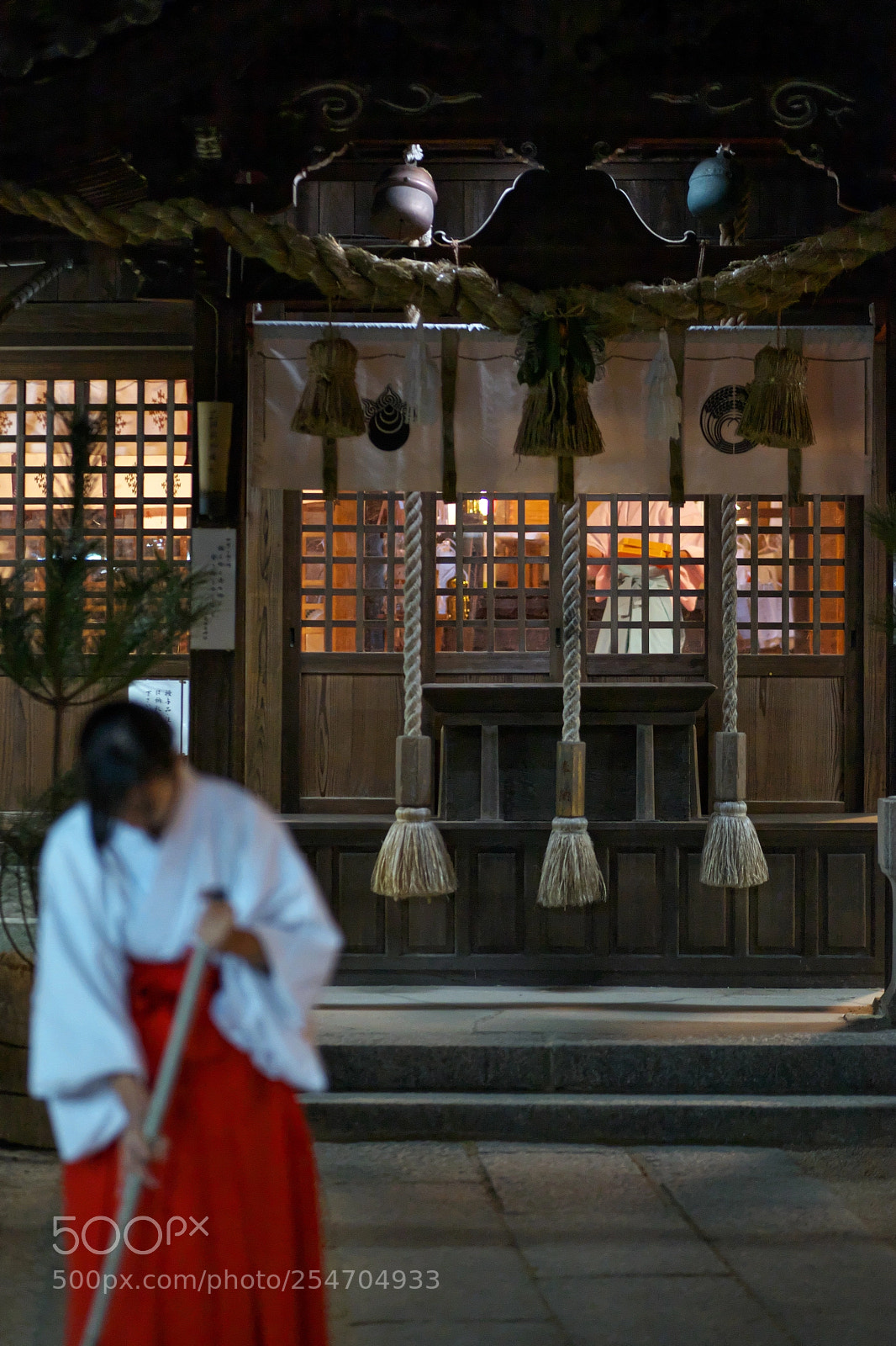 Canon EOS 5D Mark II sample photo. At the new year's photography