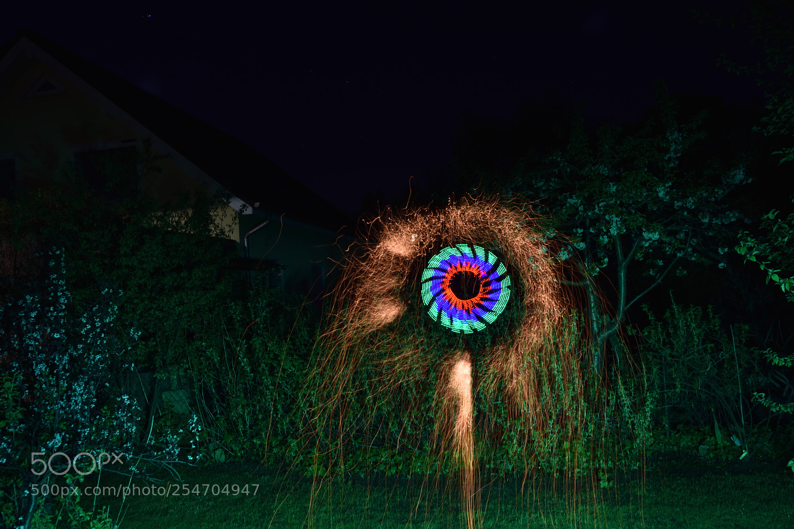 Nikon D7200 sample photo. Feuerblume  photography