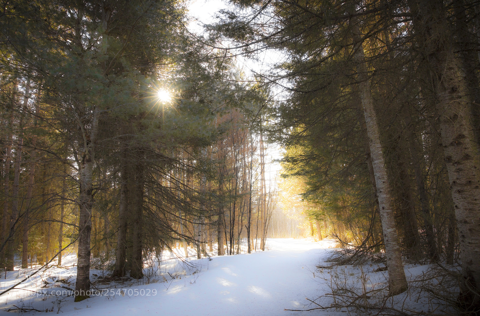 Canon EOS 5DS sample photo. Spring melt finally photography