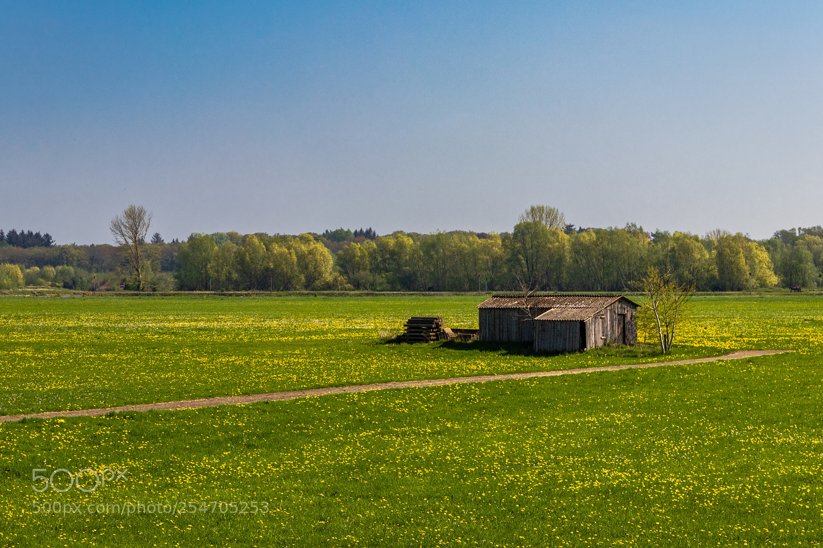 Canon EOS 80D sample photo. Shed in the field photography