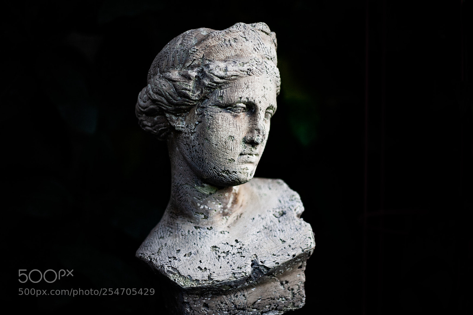 Canon EOS 5D sample photo. Sculpture photography