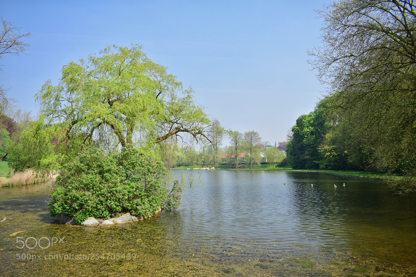 Nikon D3300 sample photo. Untitled photography