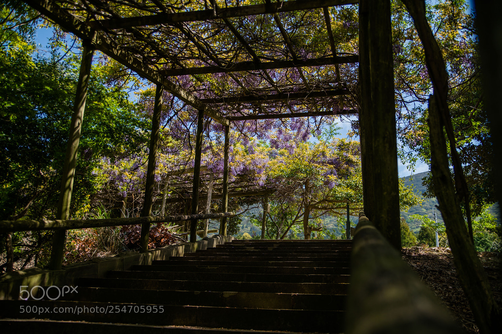 Sony a7R II sample photo. Tsushima photography