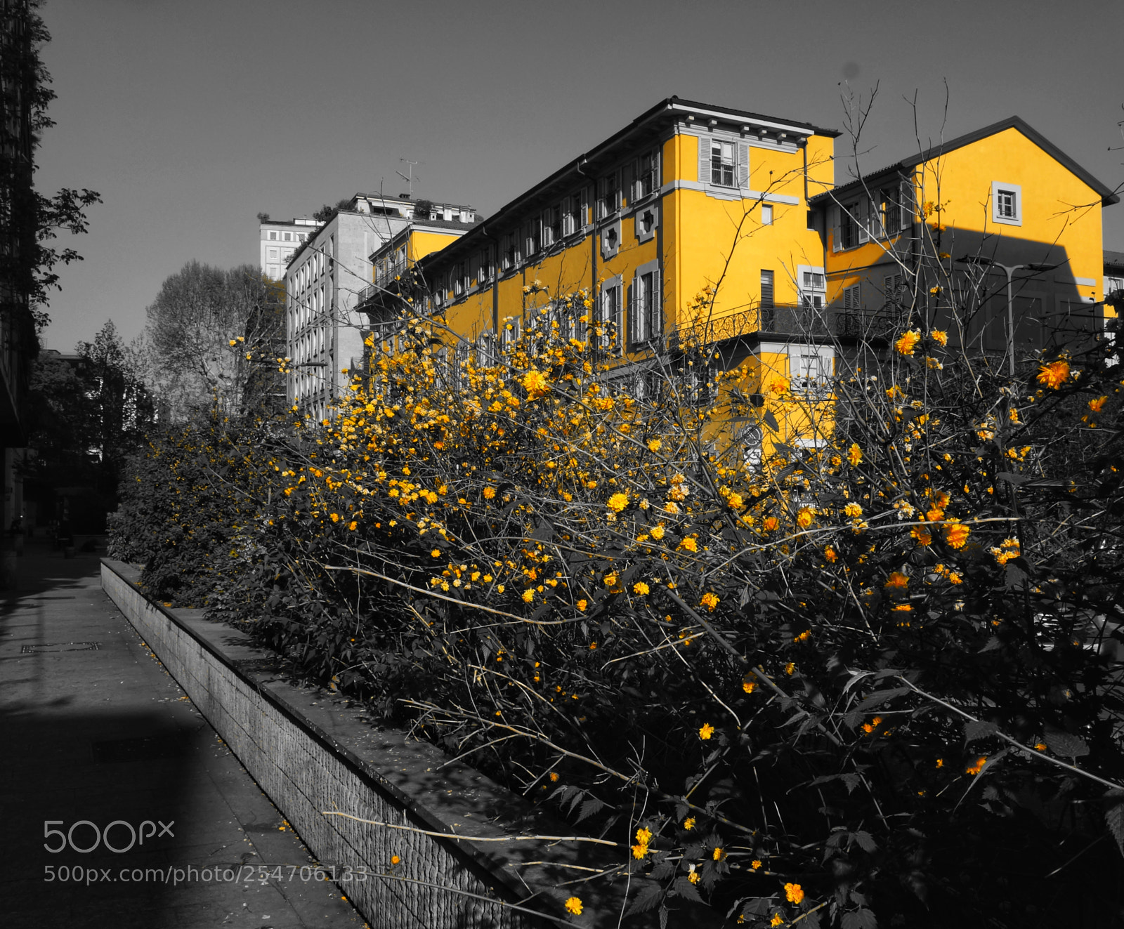 Sony Cyber-shot DSC-RX100 sample photo. Via mascagni,  milano photography