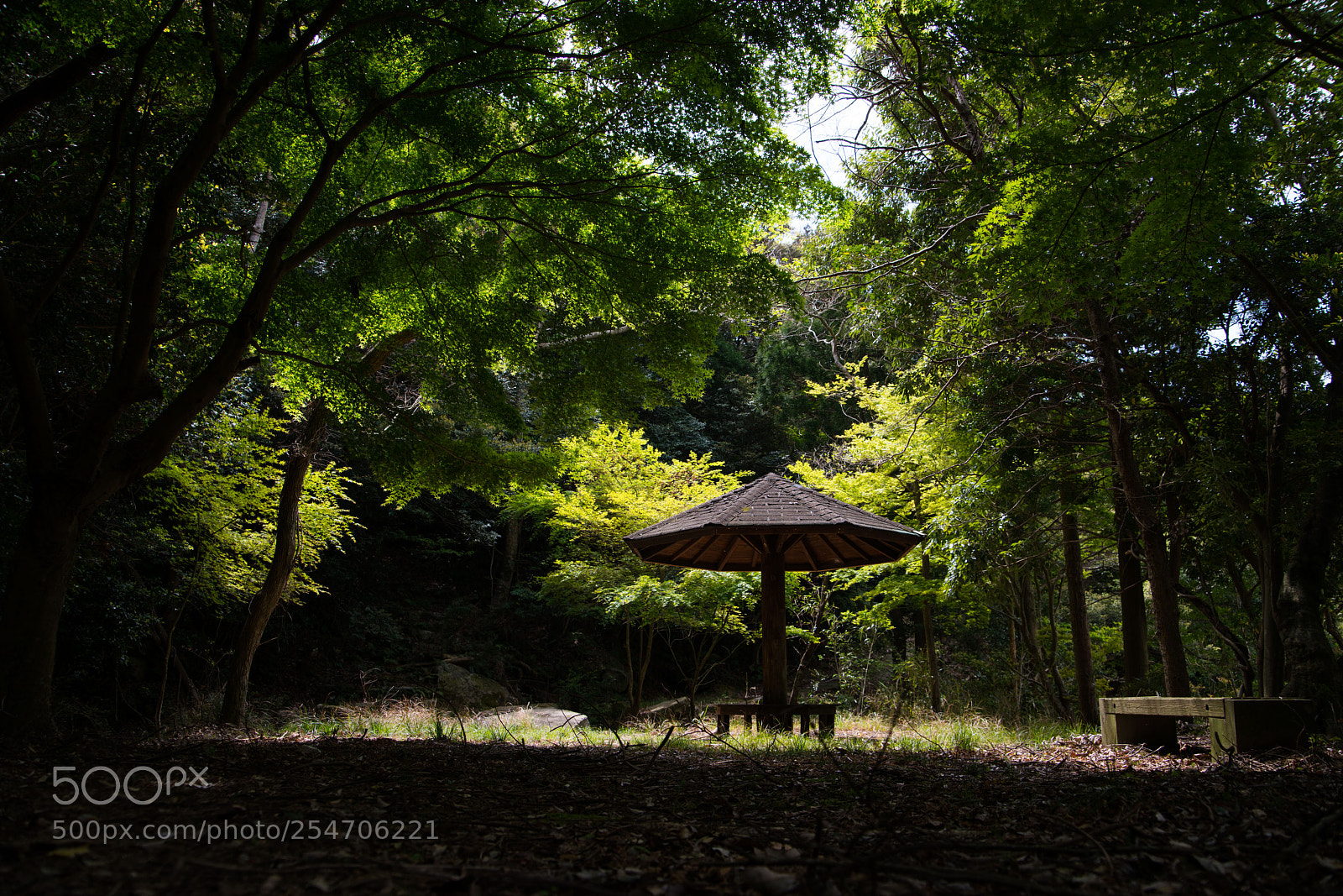 Sony a7R II sample photo. Tsushima photography