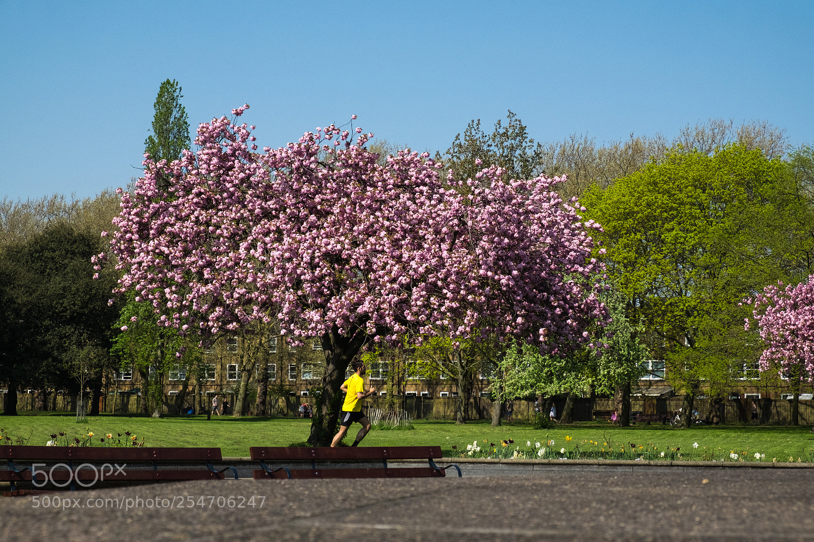 Fujifilm X-T10 sample photo. Street moving photography