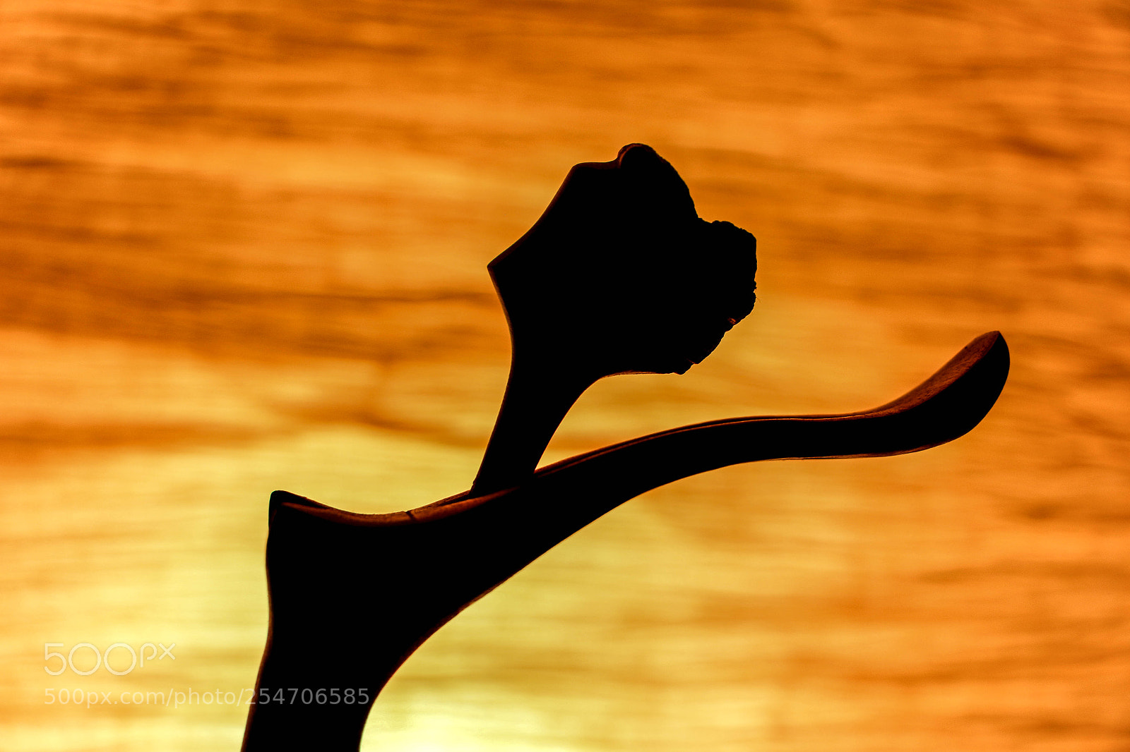 Canon EOS 70D sample photo. Dancing in the sunshine photography