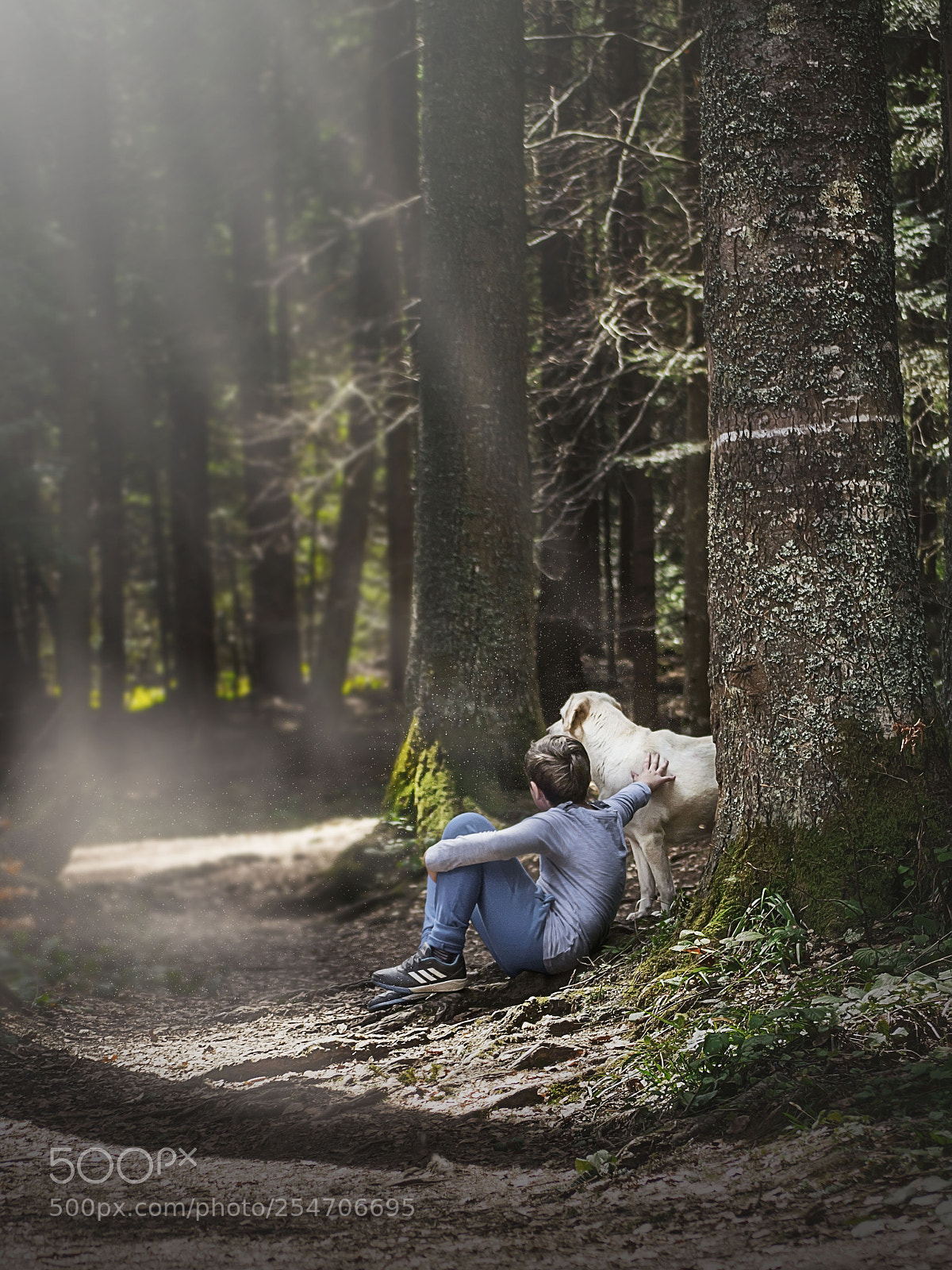 Nikon D3100 sample photo. In the wood photography