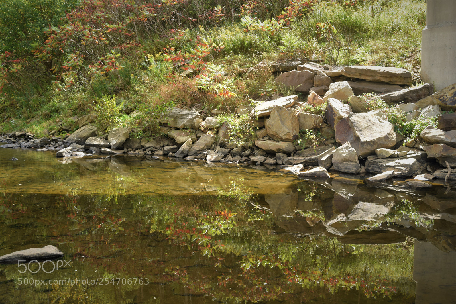 Nikon D3300 sample photo. Pastel reflection photography