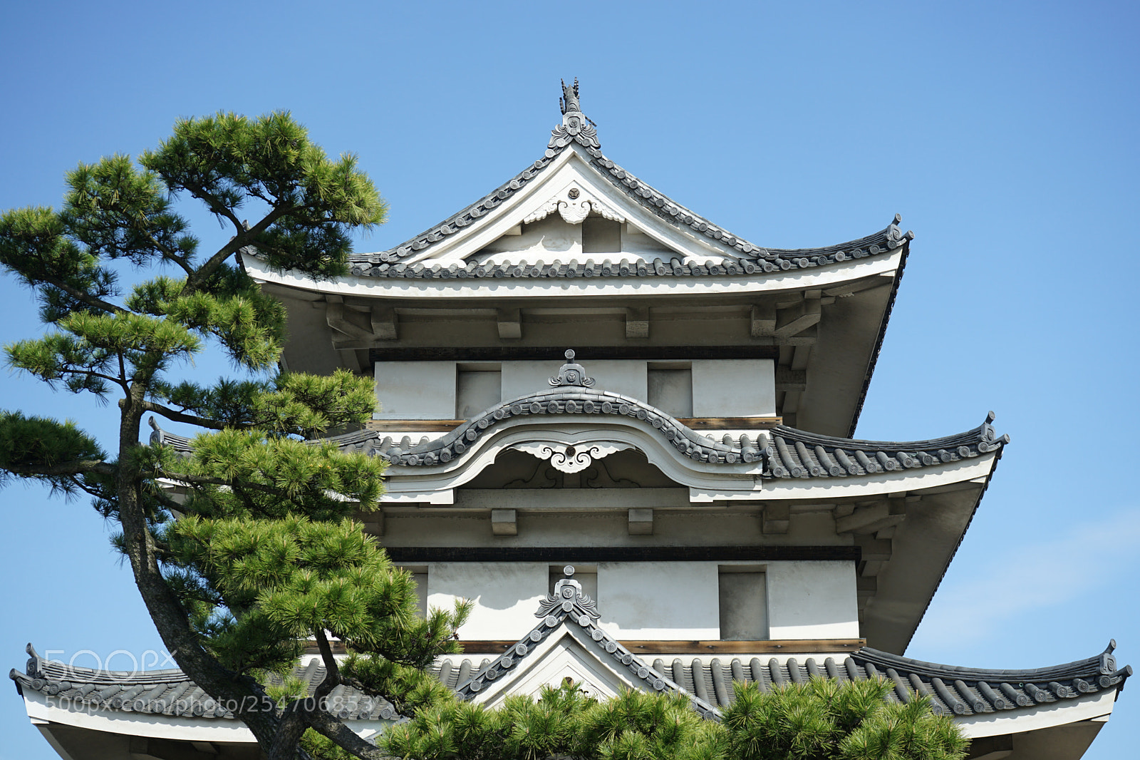 Sony a7 II sample photo. Japanese castle photography