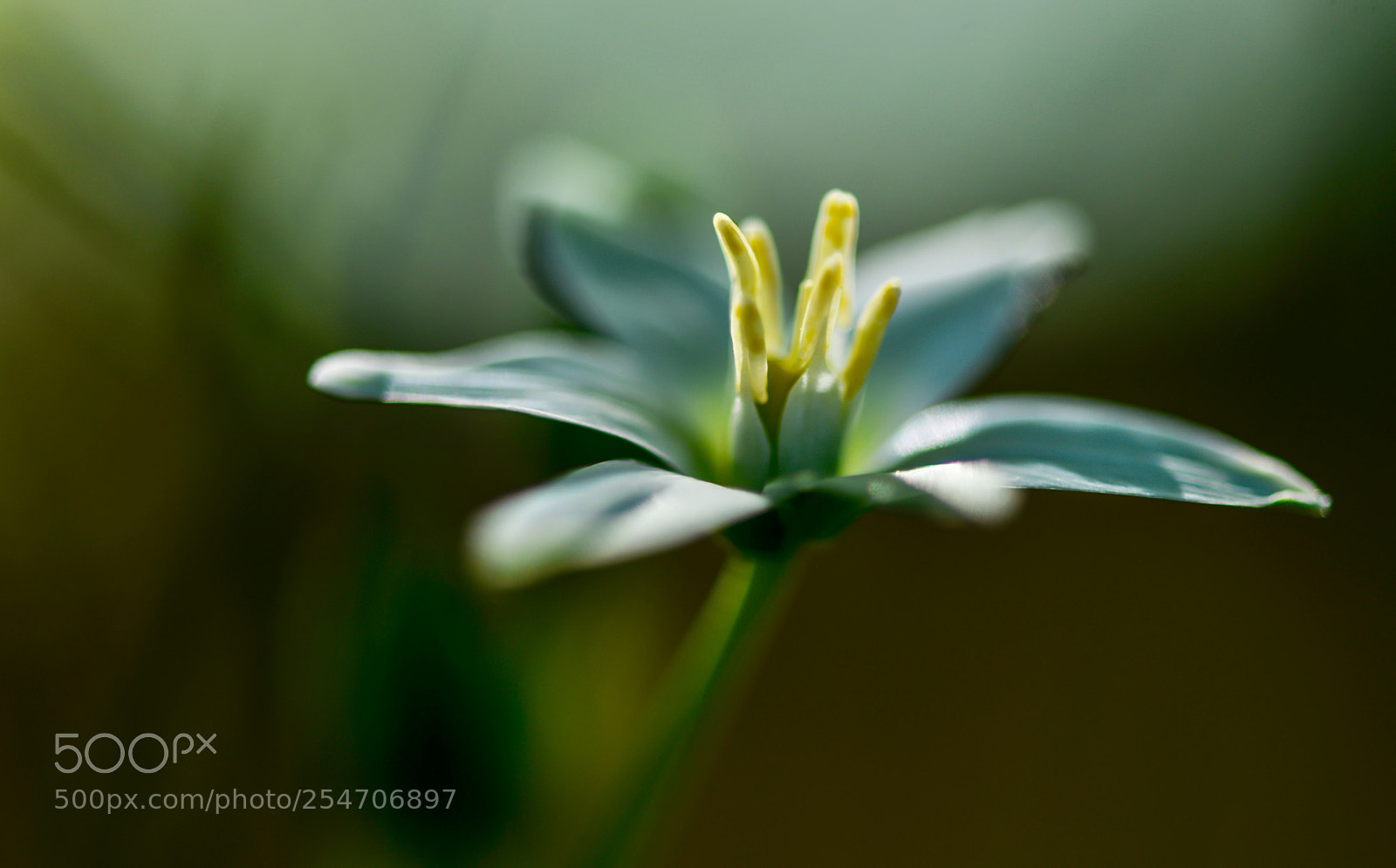 Nikon D800 sample photo. Untitled photography