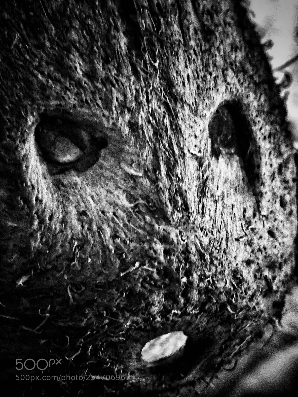 Apple iPhone 6 Plus sample photo. Spooky  photography