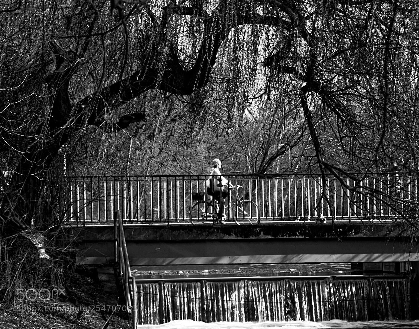 Canon EOS 500D (EOS Rebel T1i / EOS Kiss X3) sample photo. Bike under tree photography
