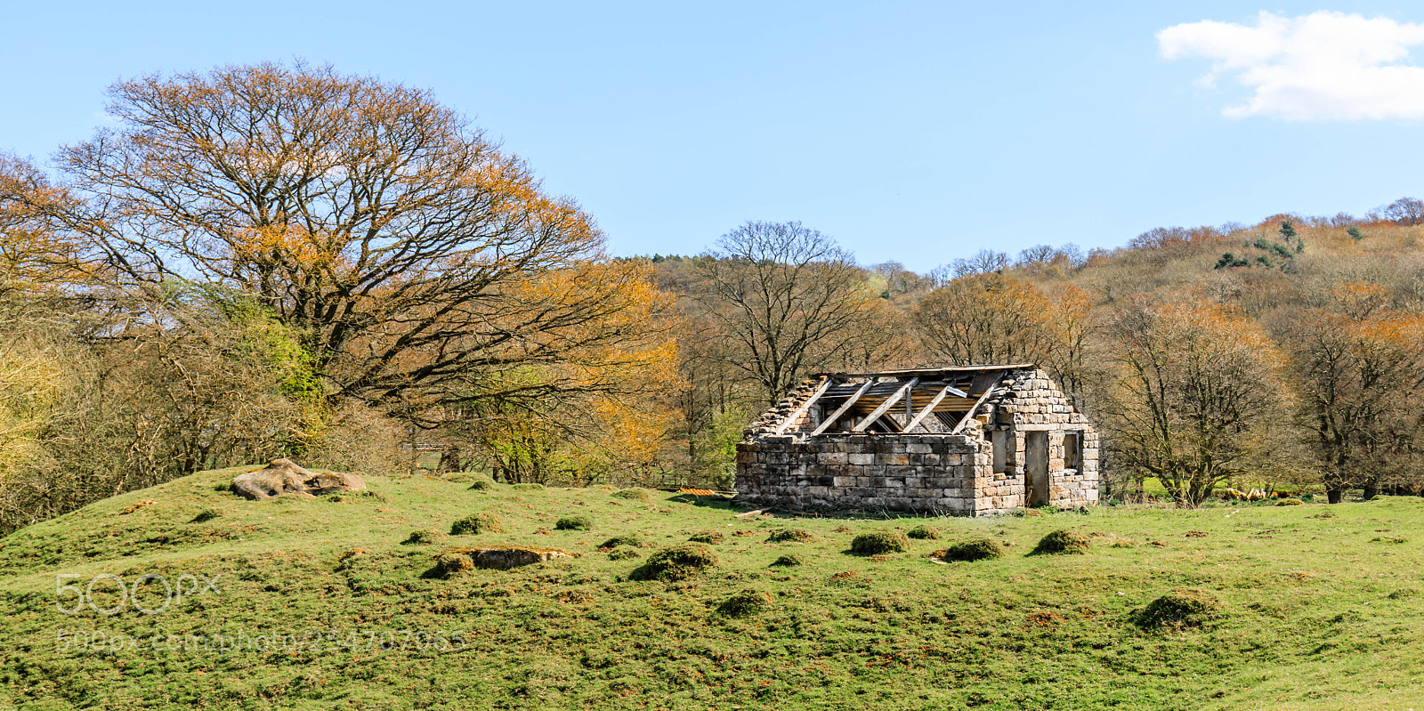 Canon EOS 5D Mark IV sample photo. North yorkshire moors, england. photography