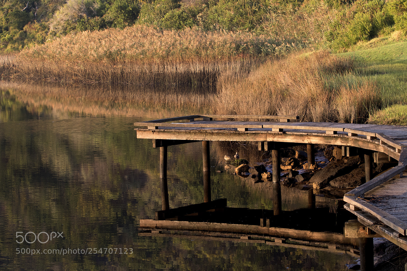 Canon EOS 7D Mark II sample photo. Bridge photography