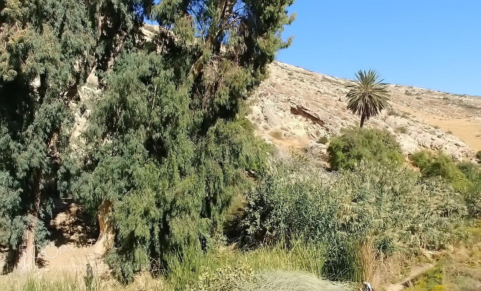 LG G6 sample photo. Ein prat photography
