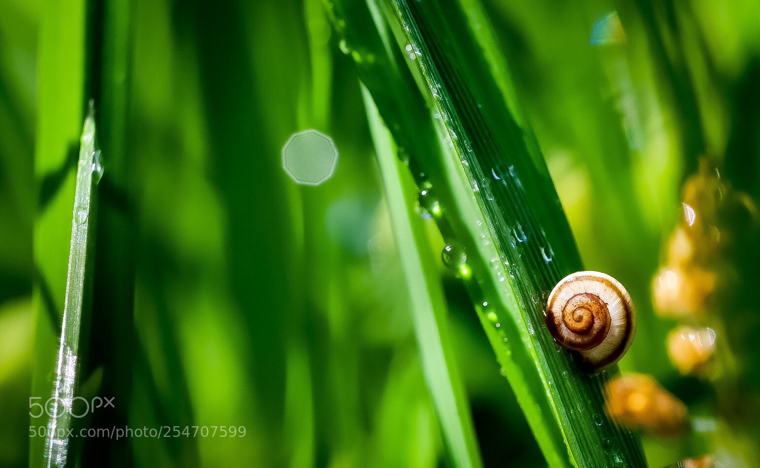 Canon EOS 6D Mark II sample photo. Untitled photography