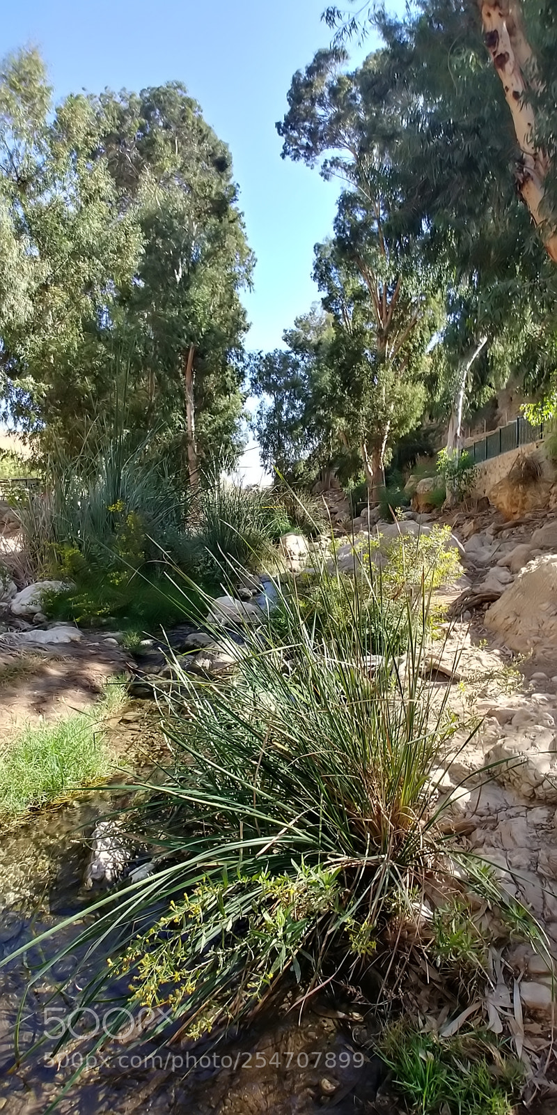 LG G6 sample photo. Ein prat photography
