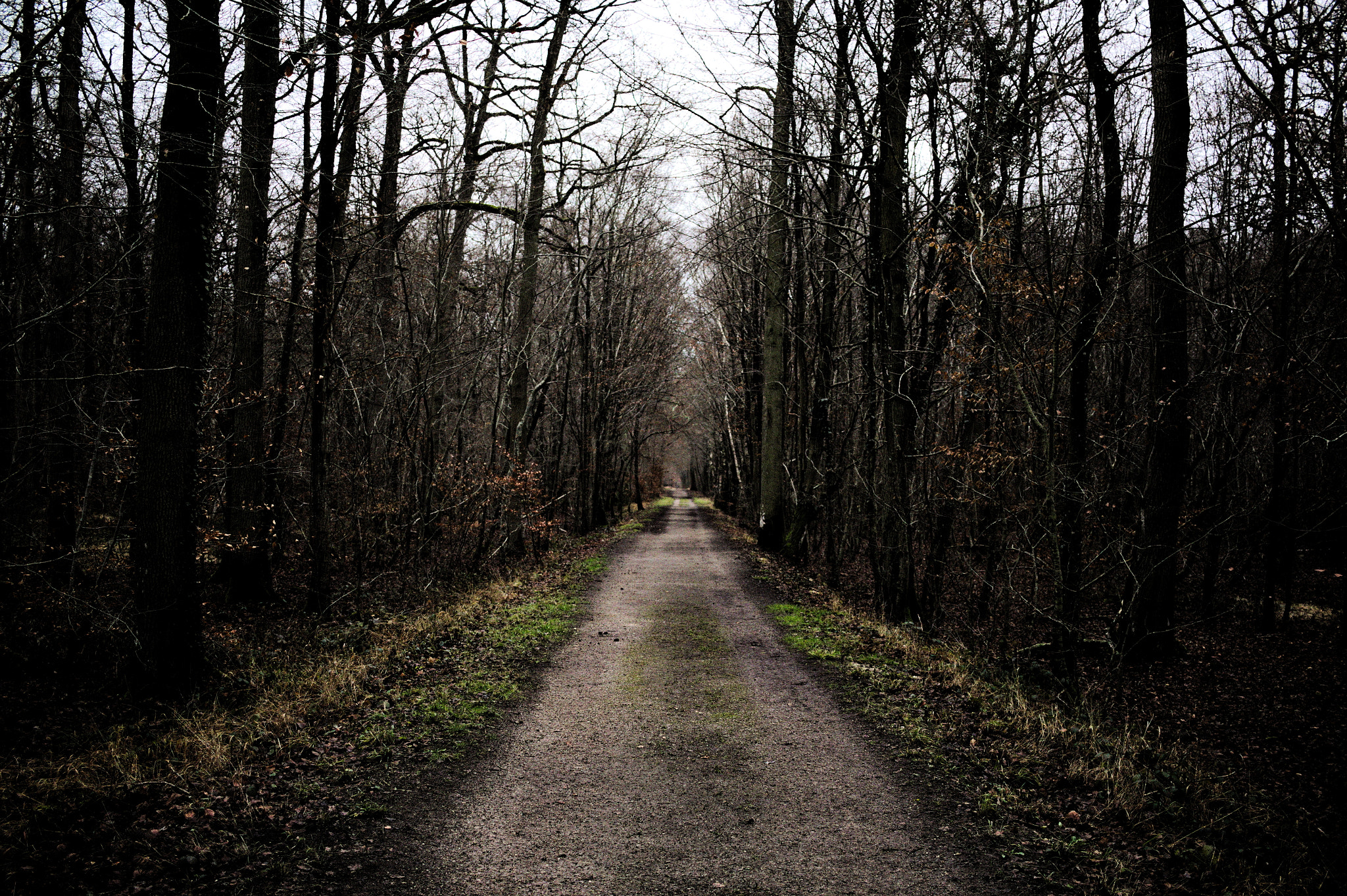 Canon EF-S 24mm F2.8 STM sample photo. 161223_fontainebleau photography