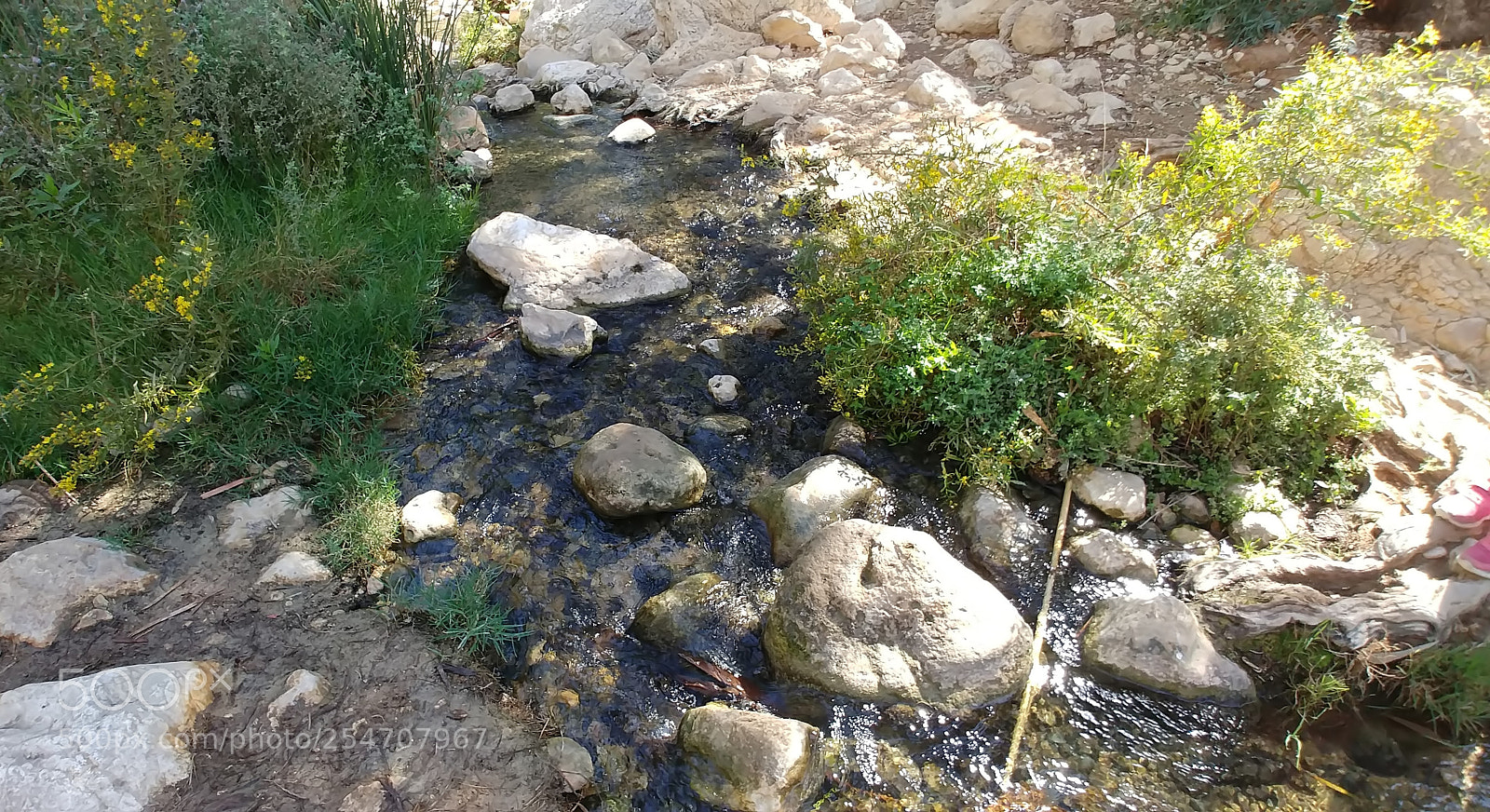 LG G6 sample photo. Ein prat photography