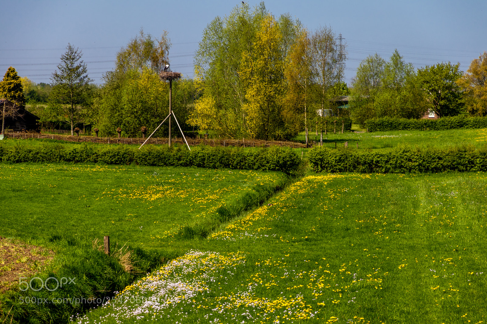 Canon EOS 80D sample photo. Stork nest in the photography