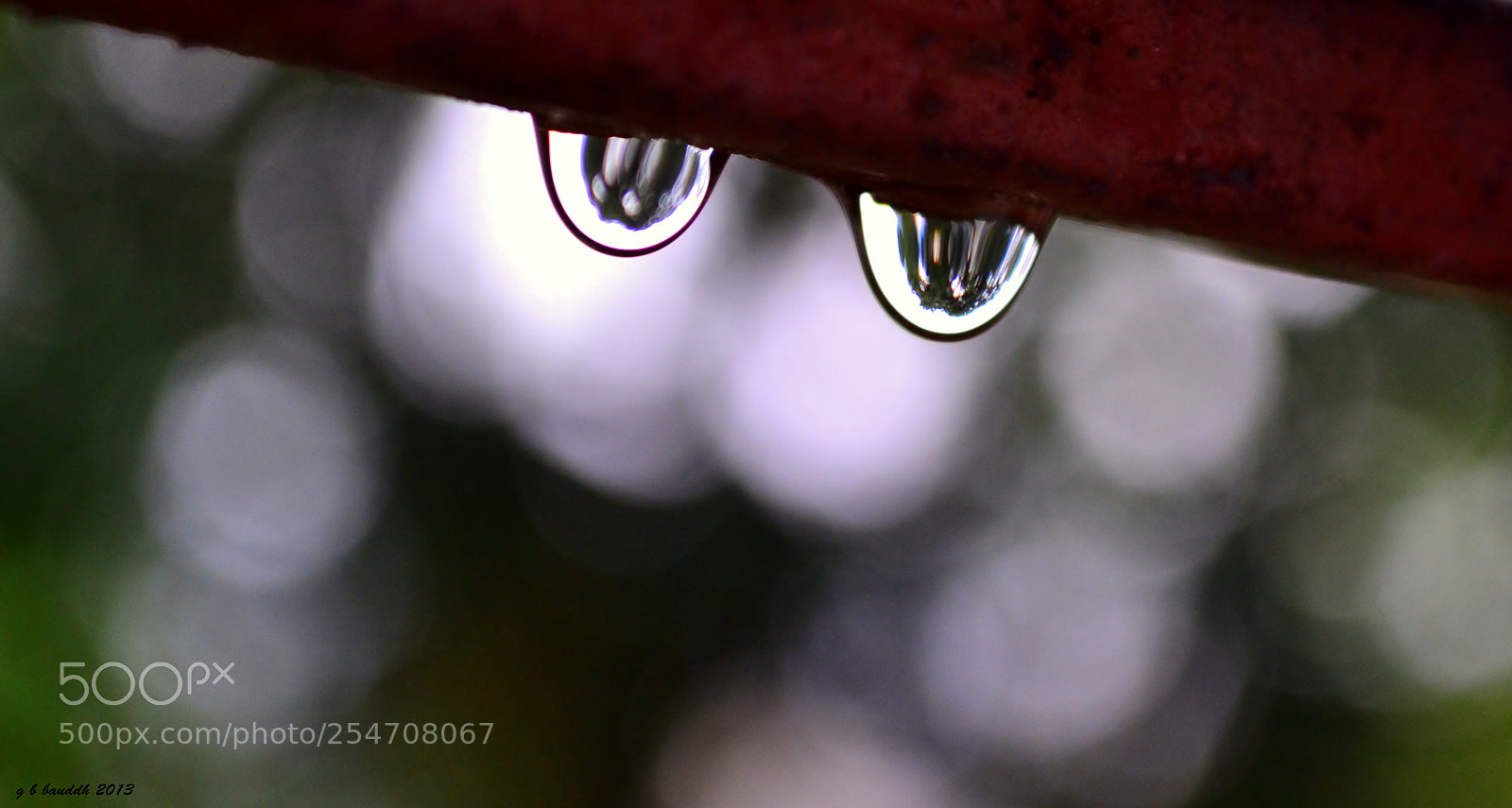 Nikon D3100 sample photo. 2 drops of life photography